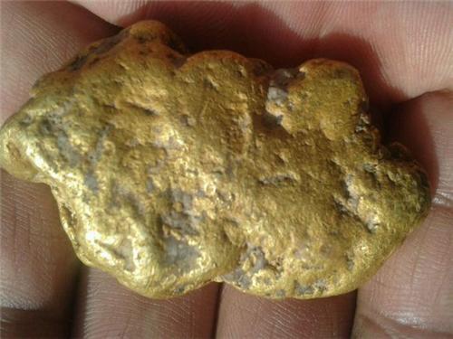 澳大利亚淘金客挖出的两块黄金可以为个人享有吗？