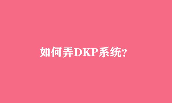 如何弄DKP系统？